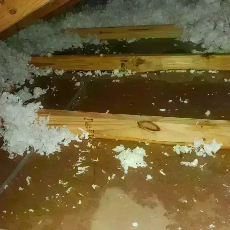 Attic Water Damage in Depoe Bay, OR