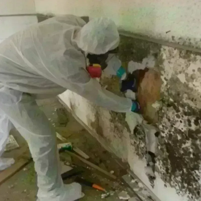 Mold Remediation and Removal in Depoe Bay, OR