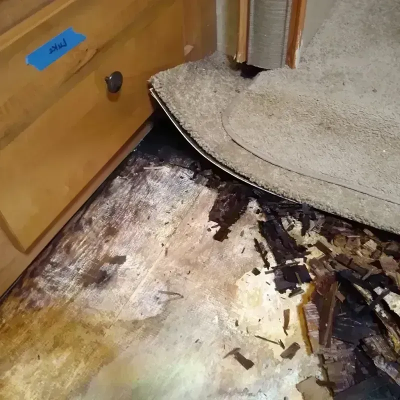 Wood Floor Water Damage in Depoe Bay, OR